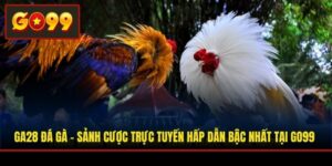 GA28 Đá Gà